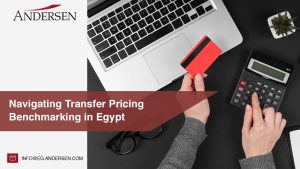 Transfer Pricing Benchmarking