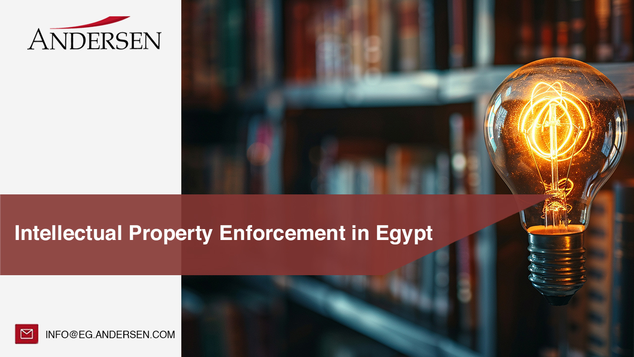 Intellectual Property Enforcement