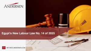 Labour Law No. 14 of 2025