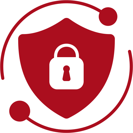 Data and Cybersecurity Icon