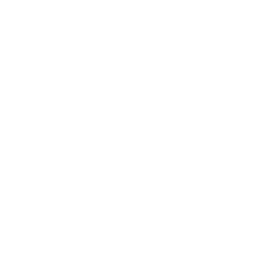 Telecom and connectivity providers icon